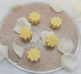 Lemon Sherbet Wax melt - Luna-Rey Aromas