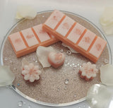 Passionfruit Martini Wax melt - Luna-Rey Aromas